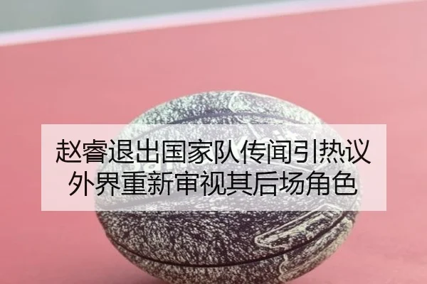 赵睿退出国家队传闻引热议 外界重新审视其后场角色